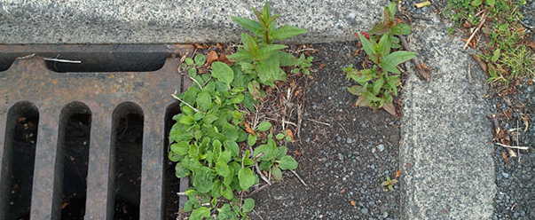 Excavation and structural resin - Croydon – Drainrod Drainage and Plumbing – Outside Drains